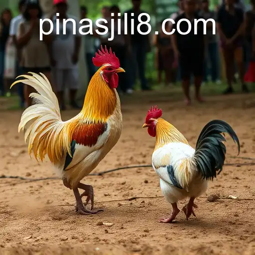 Exploring the World of Sabong Games: The Fascination of 'Pinas Jili'